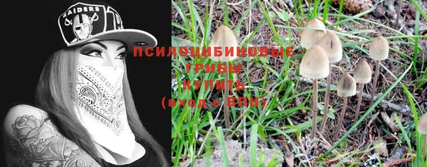бошки Алексеевка