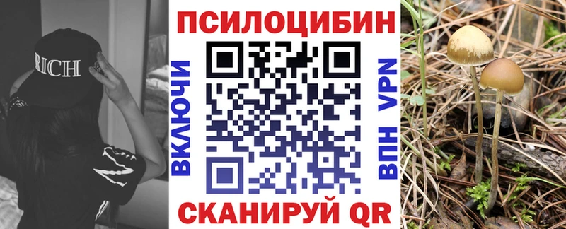 Галлюциногенные грибы мухоморы  Бежецк 